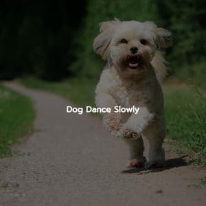 Dog Dance Slowly - Música Suave para Cafe
