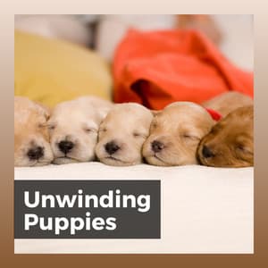 Unwinding Puppies - Music for Sleeping Puppies