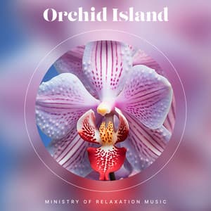 Orchid Island - Ministry of Relaxation Music
