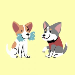 Music for My Dogs Anxiety - Lonely Jazz Guitar Solo - Calming Jazz For Dogs