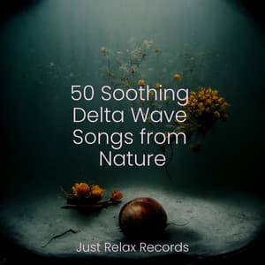 50 Soothing Delta Wave Songs from Nature - Zen Music Garden