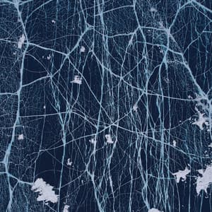 Infinity Sleep - Sleep Waves