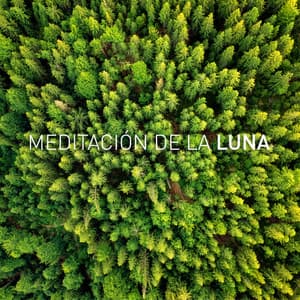 Moon Sleep - Moon Tunes