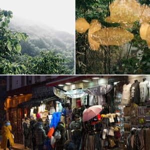 Backdrop for Rest and Chill - Jazz-hop - Lo Fi Study Chill