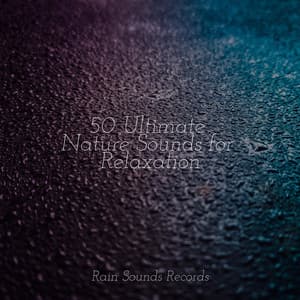 50 Ultimate Nature Sounds for Relaxation - Lullabies for Deep Meditation