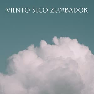 Viento Seco Zumbador - Muestreo estéreo al aire libre