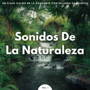 Sonidos De La Naturaleza: Un Flujo Calmo De La Corriente Con Pájaros Cantantes Vol. 1 - Sonido Submarino
