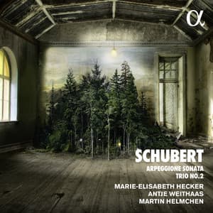 Schubert: Arpeggione Sonata & Trio No. 2 - Franz Schubert
