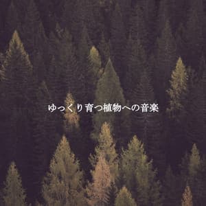 ゆっくり育つ植物への音楽 - Quiet Sunday Morning Music