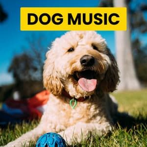 Sleepy & Tired Pets Music - Calming for Dogs