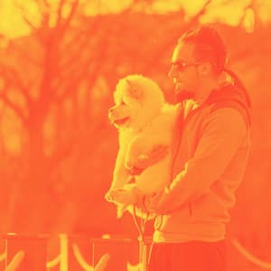 Suave Guitar Jazz - Background for Comforting Puppies - Relaxing Music for Dogs