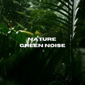Nature Green Noise - Noise Nirvana