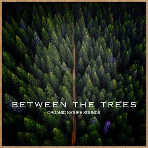 Between the Trees - Organic Nature Sounds