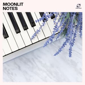 Moonlit Notes: Calm Piano Instrumentals - Relaxing Piano Music