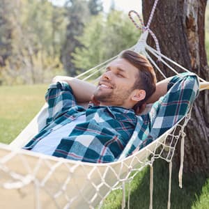 Birds at Leisure: Nature Insects Relaxation Melodies - Birds In The Morning