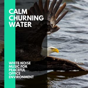 Calm Churning Water - White Noise Music for Peaceful Office Environment - Incredible Oceans
