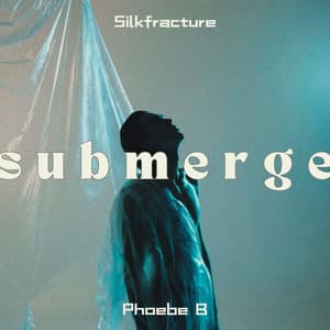 Submerge: House Wrapped in Light - Silkfracture