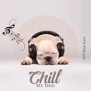 Chill My Dog: Chill Out Music to Relax, Relief Stress, Anxiety, Dog Alone at Home - DJ Dog Life