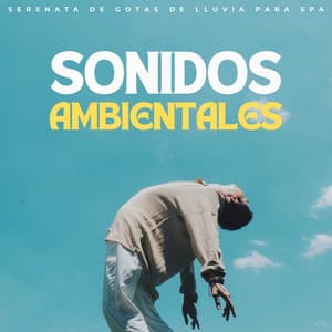 Sonidos Ambientales: Serenata De Gotas De Lluvia Para Spa - Habitos Saludables