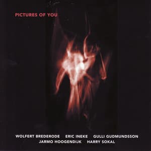 Pictures Of You - Wolfert Brederode