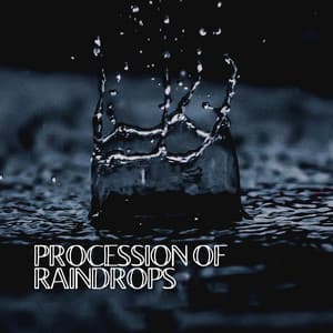 Procession of Raindrops - Rain Sounds ACE