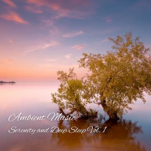 Ambient Music: Serenity and Deep Sleep Vol. 1 - Deep Sleep Relaxation