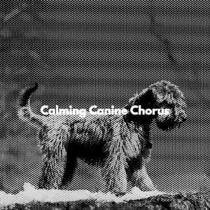 Calming Canine Chorus - Happy Instrumentals