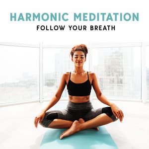 Harmonic Meditation: Follow Your Breath, Clear Your Mind Through Mindfulness - Calming Music Ensemble
