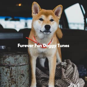 Furever Fun Doggy Tunes - Chill My Pooch