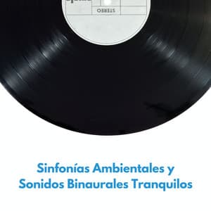 Sinfonías Ambientales Y Sonidos Binaurales Tranquilos - Binaurales Colectivo