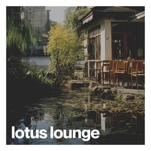 Lotus Lounge - Yoga Music Station