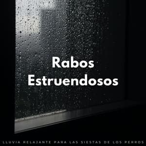 Rabos Estruendosos: Lluvia Relajante Para Las Siestas De Los Perros - Llovió