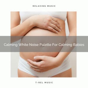 Calming White Noise Palette For Calming Babies - Ocean Sleep Sounds