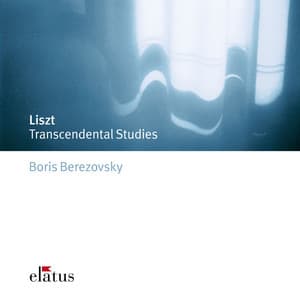Liszt : 12 Etudes d'exécution transcendante - Franz Liszt