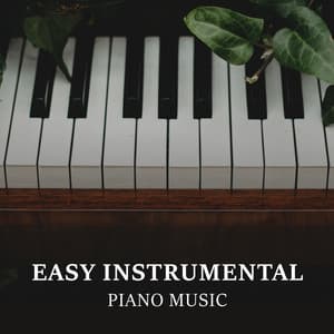 Easy Instrumental Piano Music: Working in Office Melodies - The Lady Of Jazz