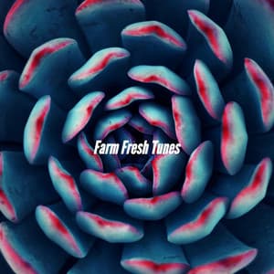 Farm Fresh Tunes - Calm Dinner Music