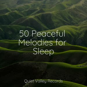 50 Peaceful Melodies for Sleep - Best Kids Songs