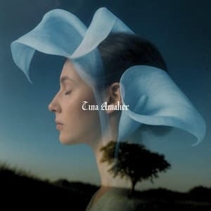 Awen Invocation at Stone Circle - Tina Amalier