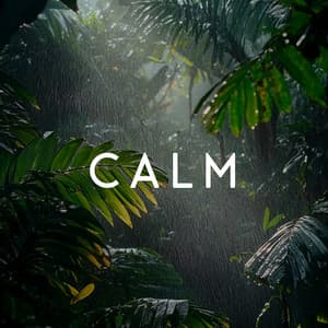 Sound of Serenity - Baby Shusher