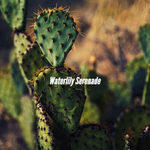 Waterlily Serenade - Chillout Jazz Deluxe