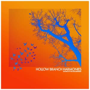 Hollow Branch Harmonies - Sound of the Wilderness