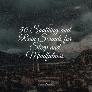 50 Soothing and Rain Sounds for Sleep and Mindfulness - Sonidos de la Naturaleza Relax