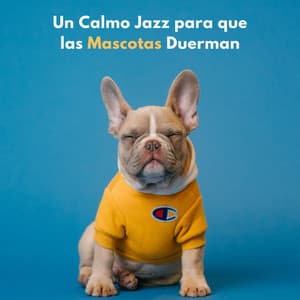 Un Calmo Jazz Para Que Las Mascotas Duerman - Lista de reproducción de ambiente de jazz