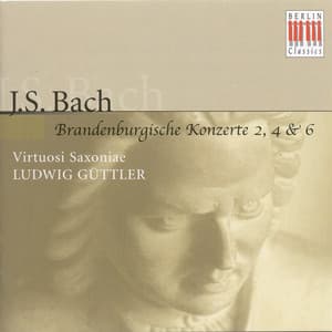 Johann Sebastian Bach: Brandenburg Concertos Nos. 2, 4, 6 - Johann Sebastian Bach