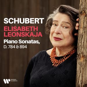 Schubert: Piano Sonatas, D. 784 & 894 - Franz Schubert