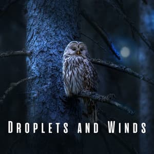 Droplets and Winds: Heavy Rain and Owl Lullabies for Sleep - Aquaplasma