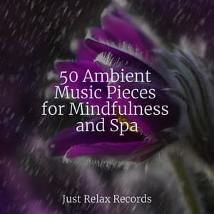 50 Ambient Music Pieces for Mindfulness and Spa - Bedtime Lullabies