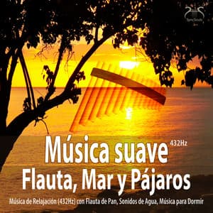 Música suave Flauta, Mar y Pájaros - Música de Relajación  con Flauta de Pan, Sonidos de Agua, Música para Dormir - Torsten Abrolat