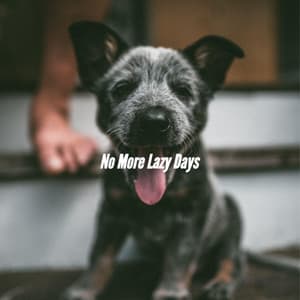 No More Lazy Days - Cooking Music
