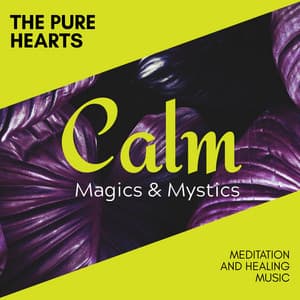The Pure Hearts - Meditation and Healing Music - Relaxing Minds